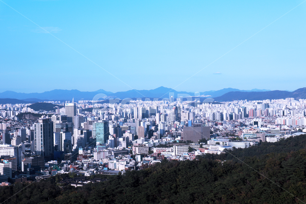남산,남산타워,서울타워,서울,하늘,초록,파랑,도시,빌딩,산,숲,아파트,현대건축,풍경,경치,landscape,scenery,초목,식물,plant,rainforest,land,땅,tree,나무,도시,풍경,city,landscape,한국도시풍경,한국도시경관,korea cityscape,nature,자연,outdoors,옥외,urban,어반,building,건물,town,시티,metropolis,중심지