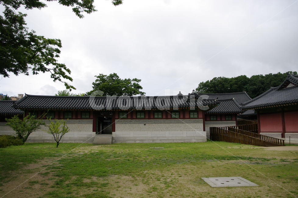 창덕궁,고궁,한옥,전통가옥,기와지붕,건축,traditional,나무,한국전통,한국문화,korean traditional,korean culture,랜드마크,landmark,tourist attraction,한국랜드마크,한국관광지,한국명소,korea landmark,korea tourist attraction,건축물,건물외관,exterior,building,structure,architecture,construction