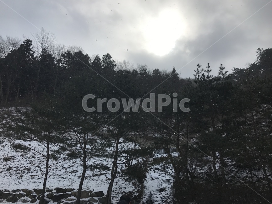 눈,산,나무,숲,눈내리는,겨울,계절,winter,season