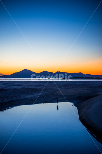 바다,새,야경,노을,일몰,풍경,자연,풍경,nature,landscape,한국자연풍경,한국자연경관,korea nature landscape,outdoors,옥외,land,땅