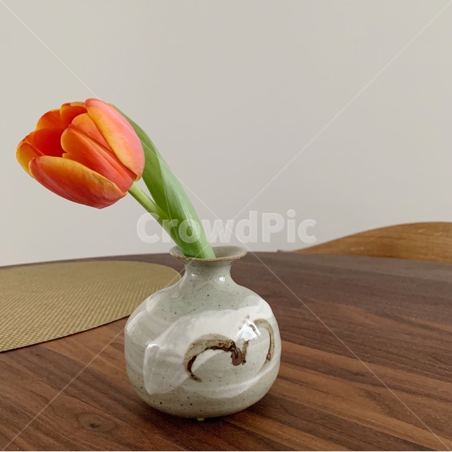 tulip,flowerbase,orangetulip,튤립,도자기,pottery,plant,vase,flower,꽃,식물,flowerarrangement,장식,꽃꽂이