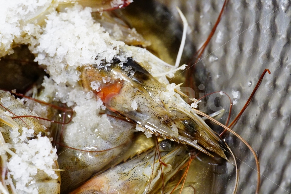 새우,shrimp,사물,오브젝트,object,food,seafood,과실,meal,dish,dishes,요리,레시피,쿡,cook,식사,dinner,디저트,dessert,싱싱,신선,맛,맛있다,맛집,요리사,주방,부엌,해물,수산물,물고기,건강,주방용품,부엌용품,반찬,음식,안주,술안주,식품,연출,연출사진,맛있는,진수성찬,산해진미,싱싱하다,신선하다,소금,굵은소금,소금절임,소금에절이다,소금절이다,음식,식재료,요리,food,cook,meal,dishes,food reserves,수산물,해산물,fishery products,seafood,연출,컨셉,콘셉,direction,concept