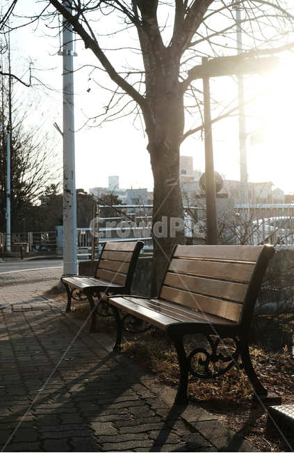 쓸쓸함,야외벤치,벤치,휴식,빈자리,자연,풍경,nature,landscape,path,통로,walkway,보도