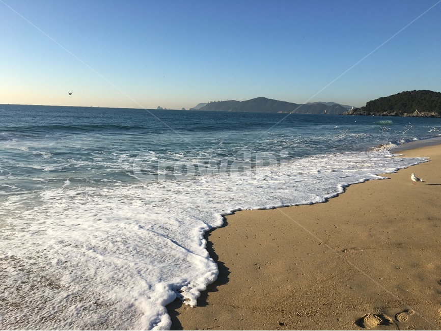 바다,해변,파도,하늘,해안가,조약돌,갈매기,여름,푸름,여름,계절,summer,season,자연,풍경,nature,landscape,해변,바다,beach,sea,outdoors,옥외,water,물,ocean,대양,shoreline,해안선