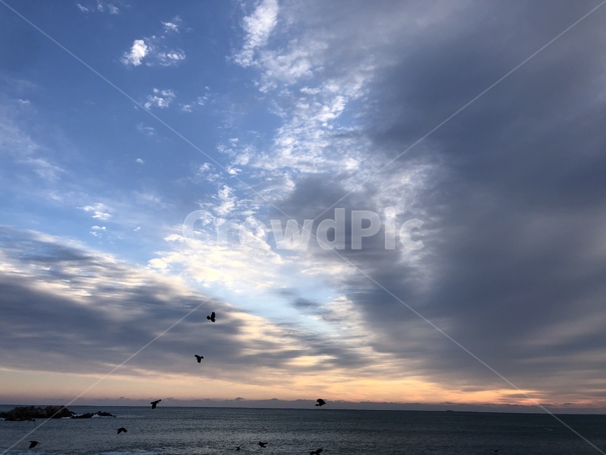 자연,바다,일출,경주,문무대왕릉,nature,sky,sea,travel,여행