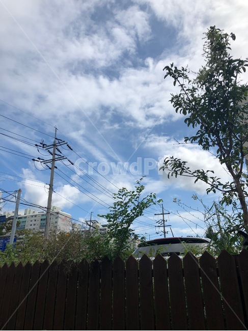 하늘,sky,구름,점심,파랑색