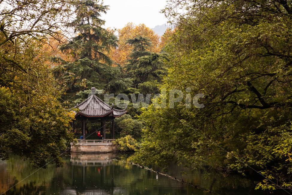 서호,공원,호수,숲,항저우,자연,풍경,nature,landscape