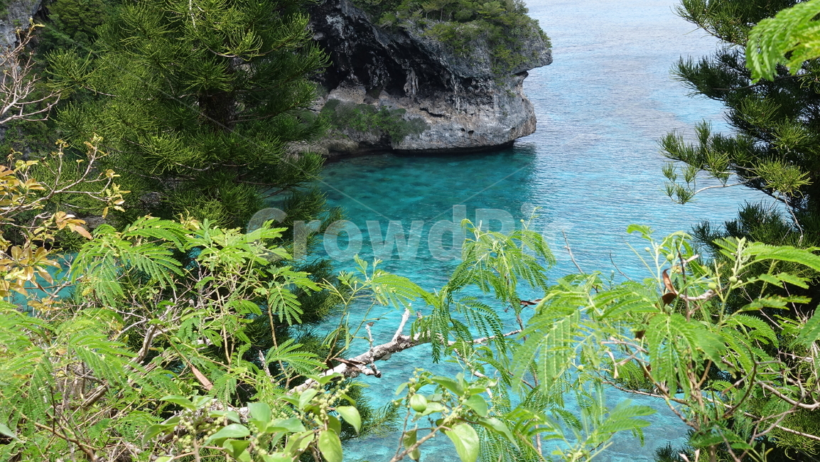 green,초록,nature,plant,식물,자연,sea,ocean,바다,수평선,horizon,blue,수풀,summer,여름,휴가,vacation,휴양지,태평양,남태평양,리푸,뉴칼레도니아