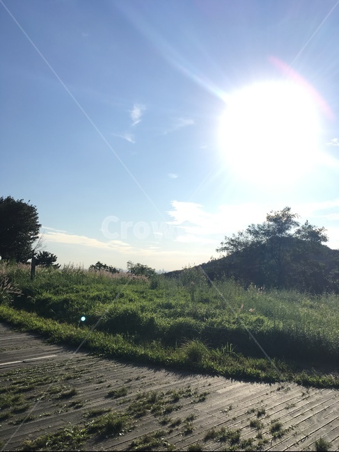아차산,산,해,하늘,풍경,나무데크,데크,잡초,구름,햇살,가을하늘