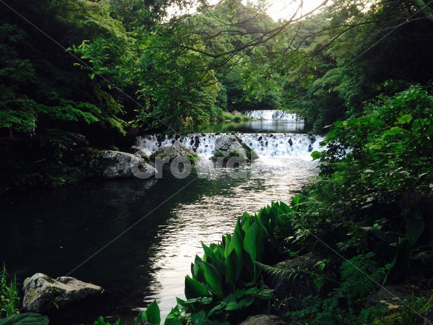 waterfall,seogwipo,water,경치,폭포사진,제주도,관광지,자연,풍경,nature,landscape,물,outdoors,옥외,stream,흐름,creek,작은 만