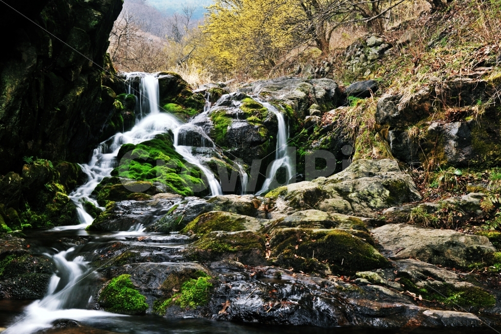 구례,현천마을,산수유마을,산수유축제,이끼폭포,moss,waterfall,장노출,자연,풍경,nature,landscape,봄,계절,spring,season,water,물,outdoors,옥외,river,강,폭포