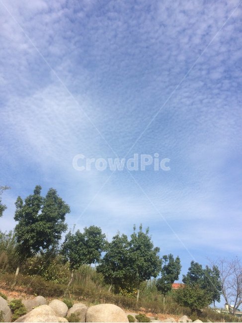 하늘,풍경,구름,sky,cloud,배경,자연,풍경,nature,landscape,outdoors,옥외,grassland,목초지,field,들