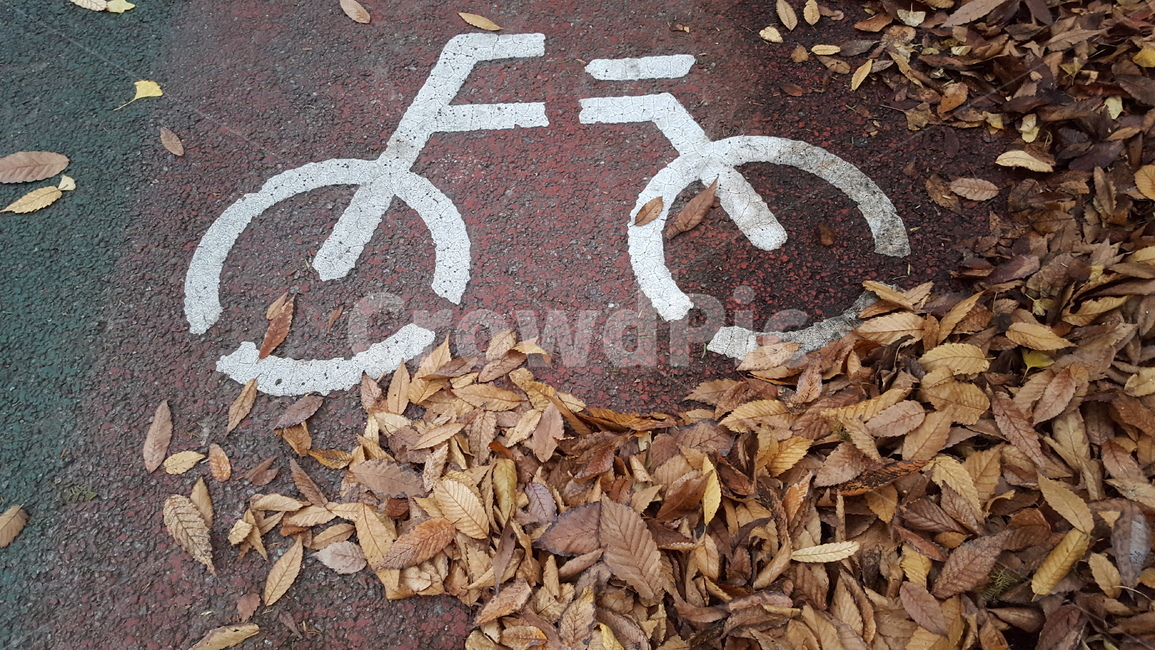 가을,낙엽,자전거도로,감성,autumn,fallenleaves,bicyclepath,emotional,가을,계절,fall,autumn,season