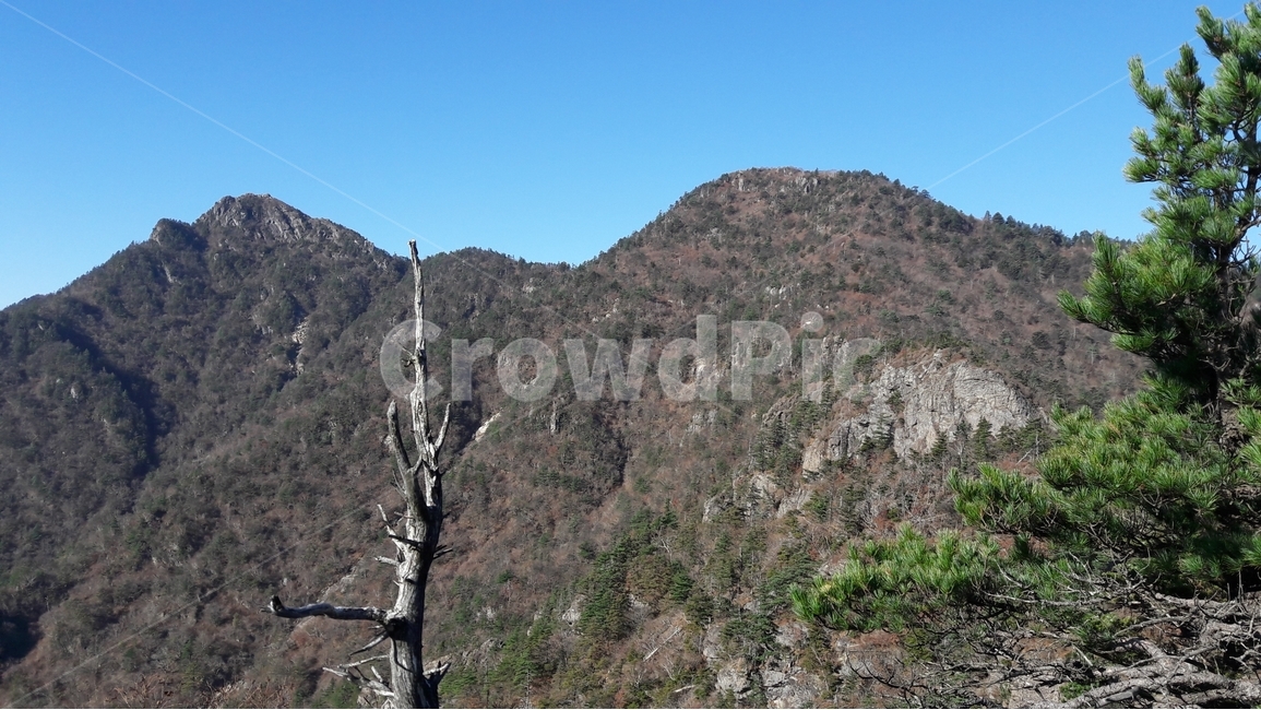 지리산,천왕봉,산,고사목,가을,국립공원,자연,풍경,nature,landscape,한국자연풍경,한국자연경관,korea nature landscape,outdoors,옥외