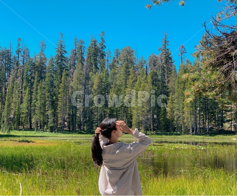 tree,나무,plant,식물,여자,girl,뒷모습,호수,lake,자연,nature,사람,인물,인간,human,person,여성,여자,woman,female,lady