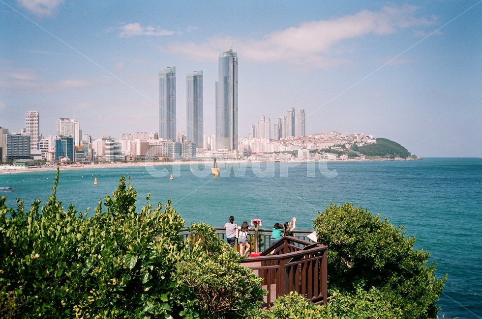 해운대,바다,동백섬,여름,부산,휴가,필름사진,film