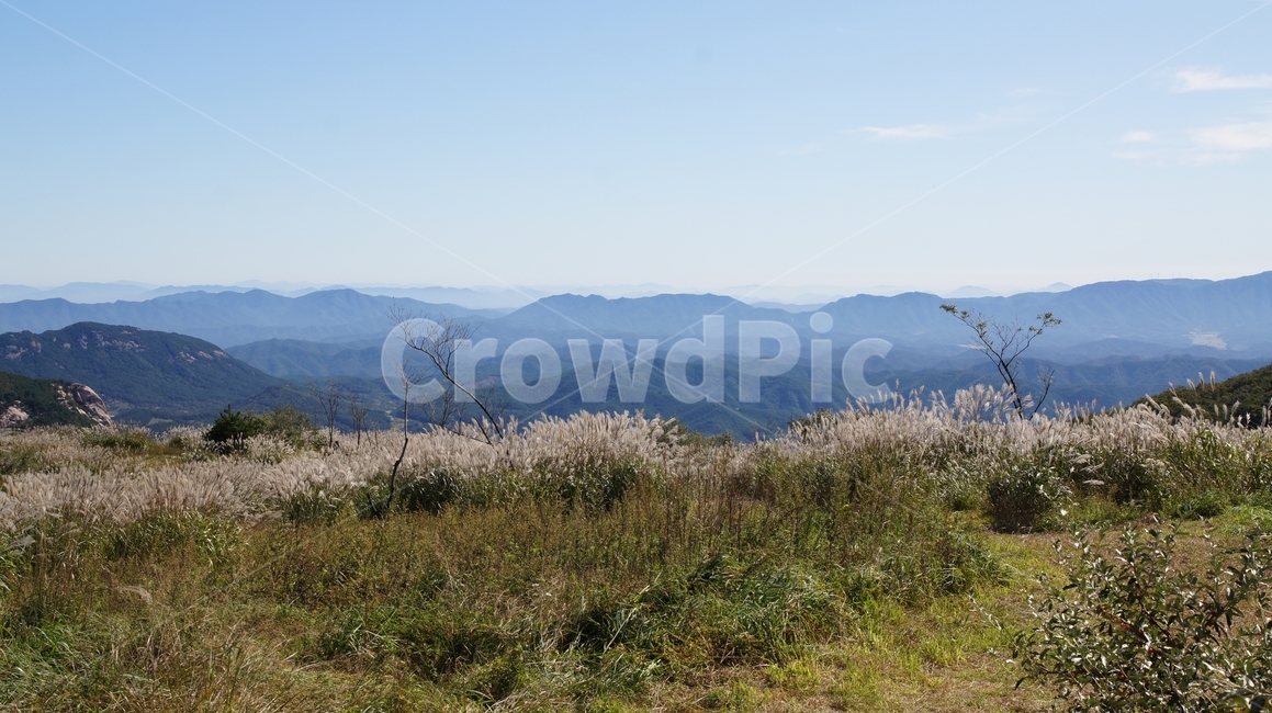 nature,outdoors,옥외,grassland,목초지,field,들,산정상,자연,자연,풍경,nature,landscape
