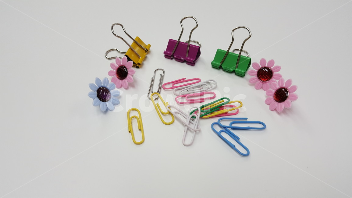 문구,집게,클립,압정,학용품,사물,물건,오브젝트,thing,object,matter,학용품,문구류,사무용품,school supplies,stationery,office supplies