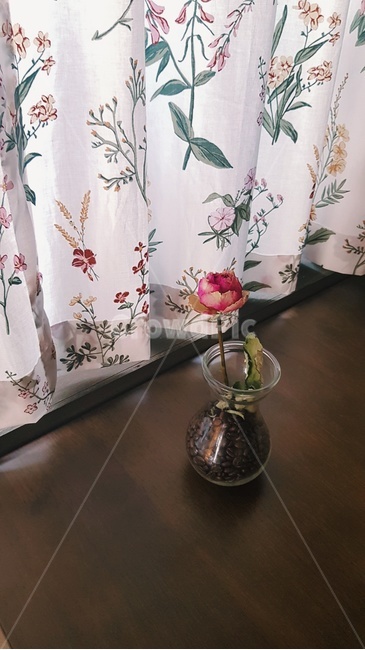 커튼,꽃,화분,꽃병,감성