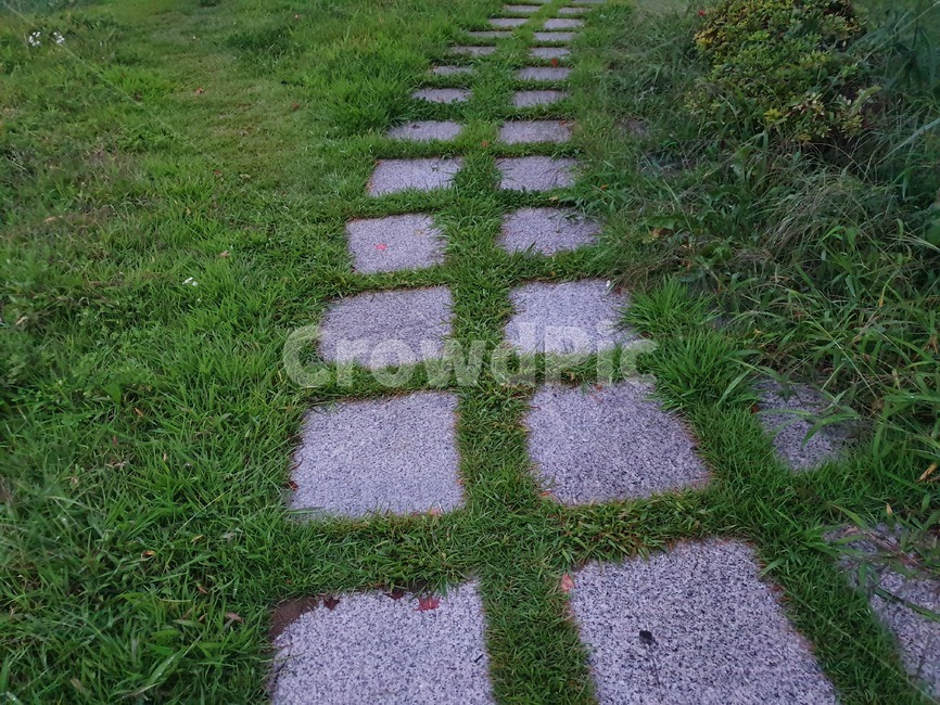 오솔길,자연,돌길,길,풀,야외,경치,outside,평화,peace,peaceful,잔디,grass,돌,stone,path,ground,flagstone,nature,natural,street