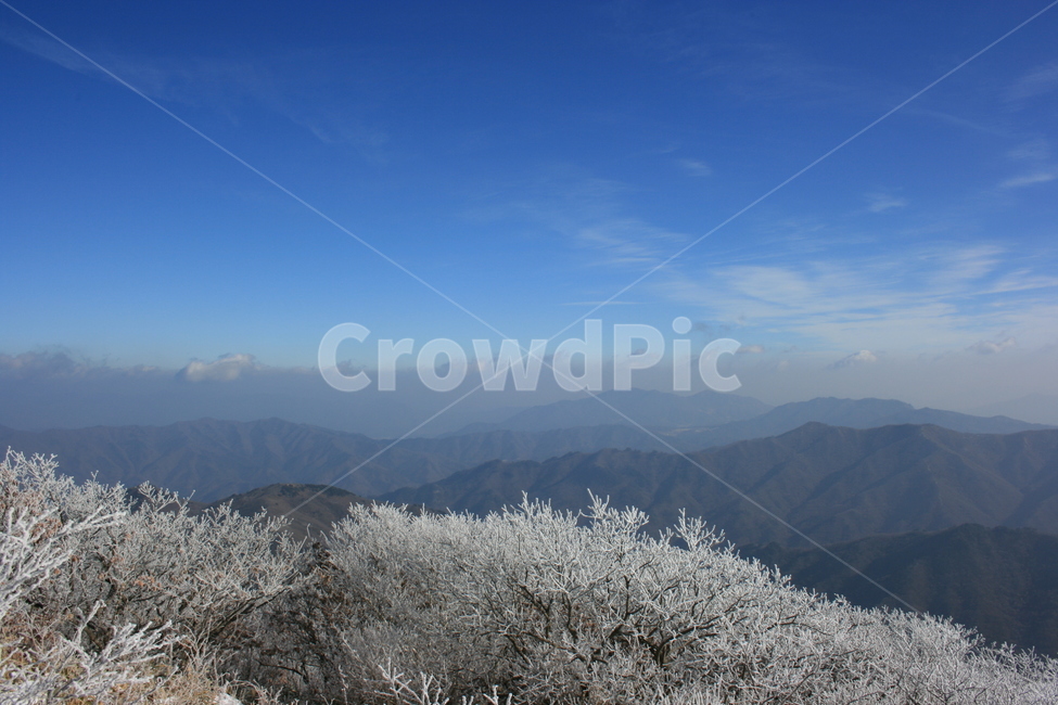 설산,눈꽃,풍경,산정상,등산