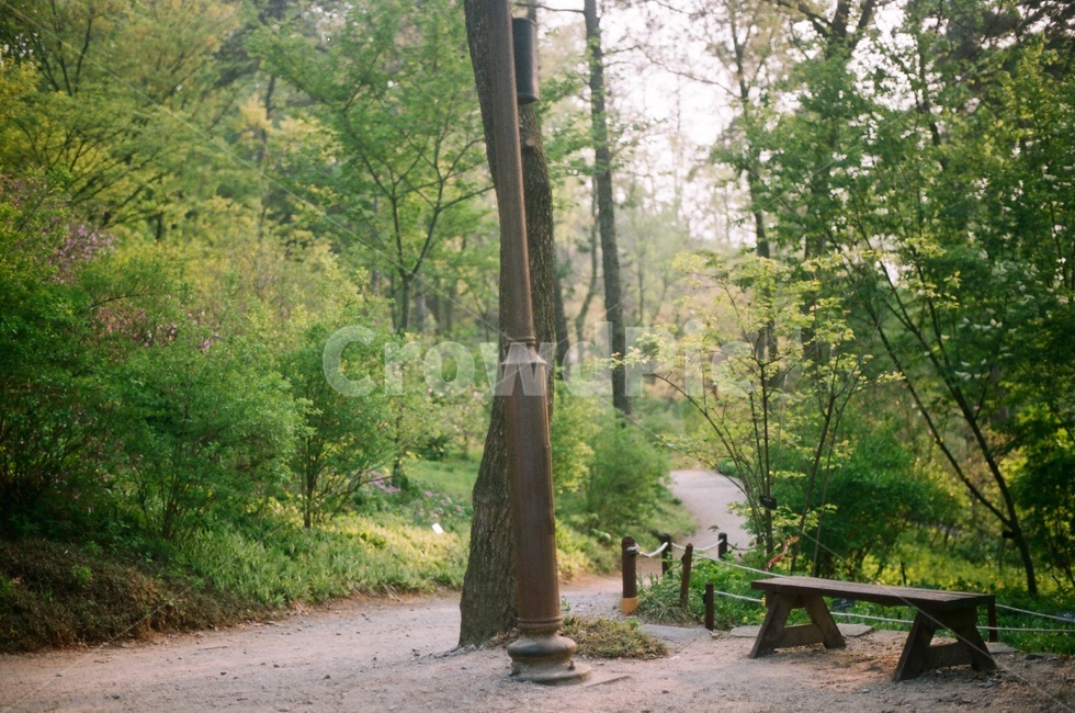 식물원,휴식,벤치,자연,필름사진,필름,film,nature,자연,풍경,nature,landscape,휴식,힐링,rest,relaxation,healing,bench