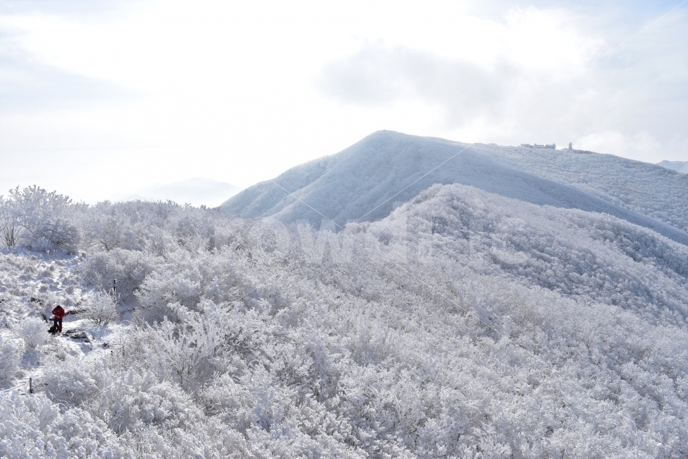 소백산,눈꽃풍경,상고대,겨울풍경,국립공원,겨울동화,눈풍경,파란하늘,100대명산,겨울명산,설경,서리꽃,영동,snow,landscape,자연,풍경,nature,landscape,겨울,계절,winter,season,outdoors,옥외,slope,경사