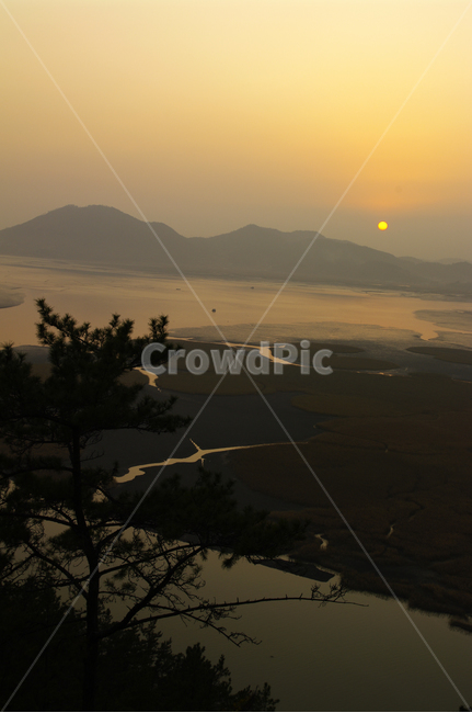 순천만,일몰,석양,노을,풍경,갈대밭,자연,풍경,nature,landscape,flare,플레어,light,빛,outdoors,옥외,sunlight,햇빛