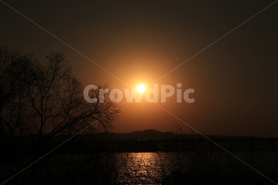 노을,석양,한강,역광,나무,sunset,backlight,hanliver,자연,풍경,nature,landscape,실루엣,그림자,silhouette,shadow,outdoors,옥외