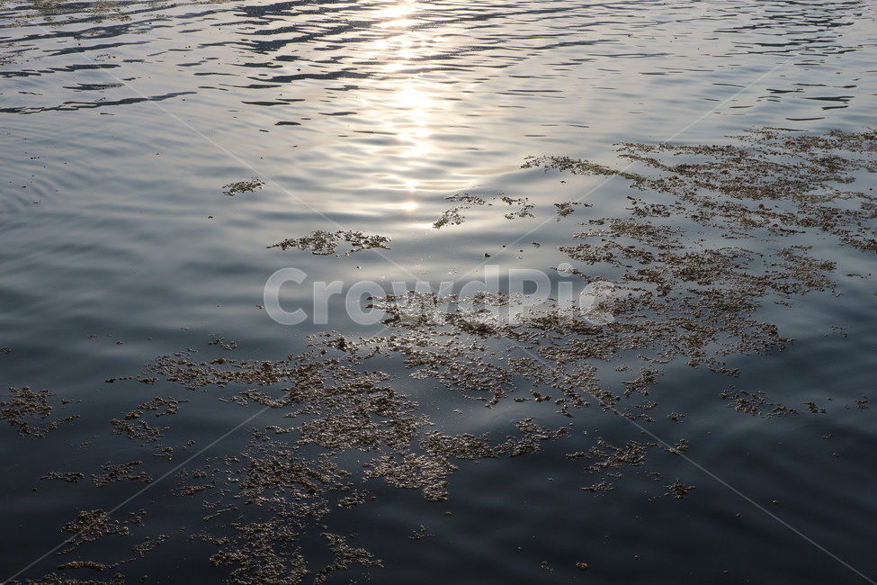 부산,광안리,바다,수면,햇빛,물,자연,풍경,nature,landscape,water,outdoors,옥외