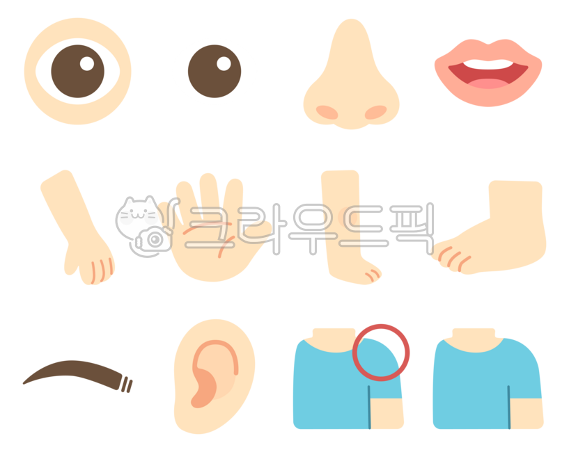 신체일러스트,신체부위일러스트,몸일러스트,인체구조,신체,인체,눈,코,입,어깨,눈코입일러스트,귀일러스트,손일러스트,발일러스트,팔일러스트,다리일러스트,어깨일러스트,눈썹일러스트,신체부위,신체구조,신체파츠,눈일러스트,코일러스트,입일러스트,눈썹,귀,손,팔,다리,발,인체파츠,인체일러스트,일러스트,몸그림,인체그림,신체그림,눈그림,코그림,입그림