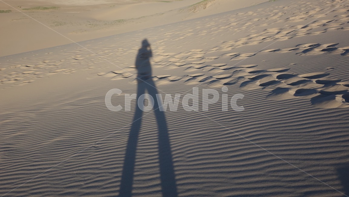 자연,언덕,모래언덕,모래,사막,nature,hill,dune,dessert,그림자,실루엣
