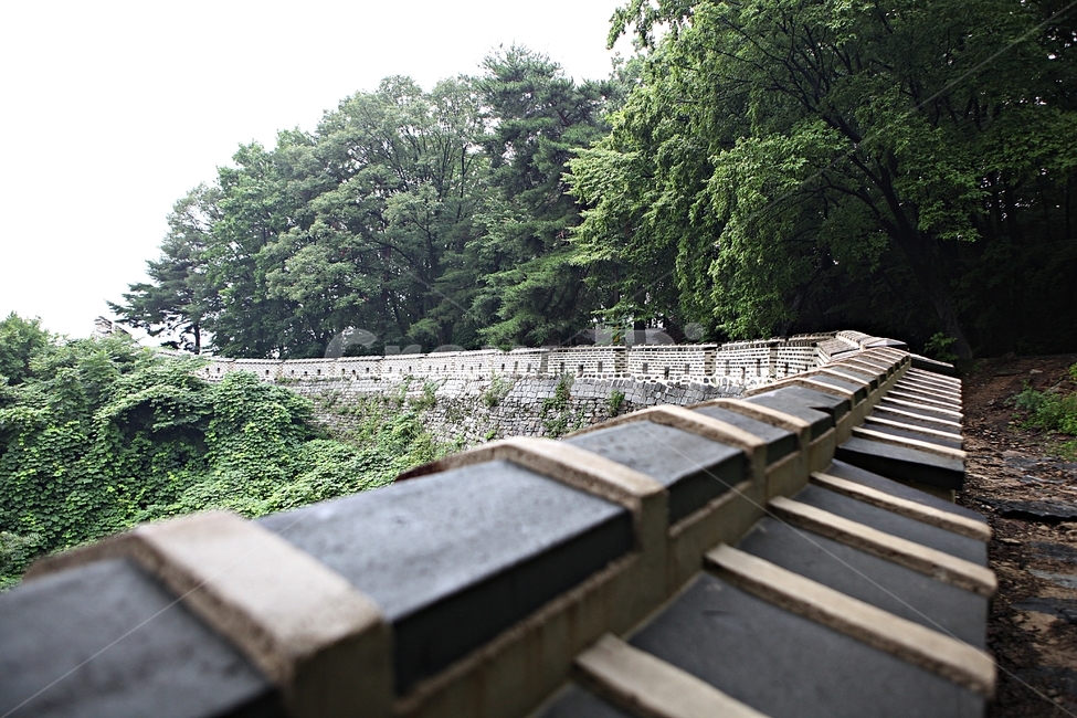남한산성,성,성곽,숲,숲길,길,둘레길,벽,담,돌담,풍경,여름