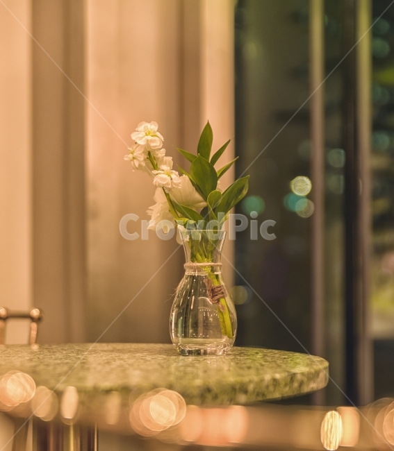 꽃,꽃병,카페,감성,감성사진,식물,자연,plants,nature,꽃,flower,실내용화초,화분,화초,house plant,인테리어,실내디자인,interior design
