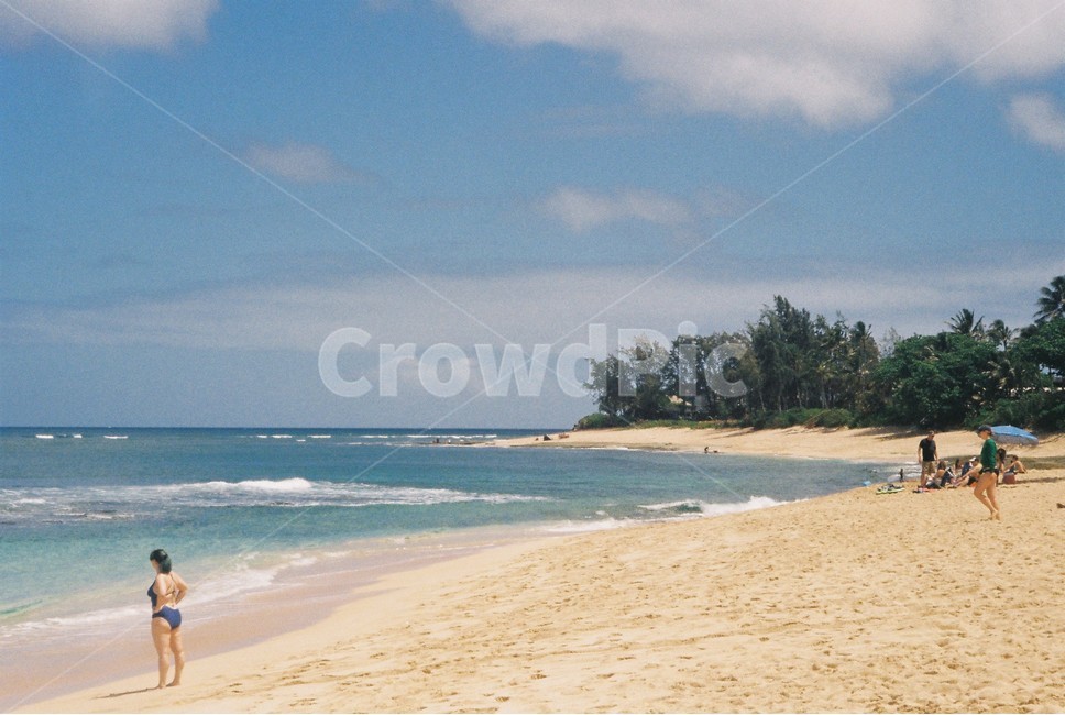 바다,하와이,바닷가,모래사장,하와이바다,hawaii