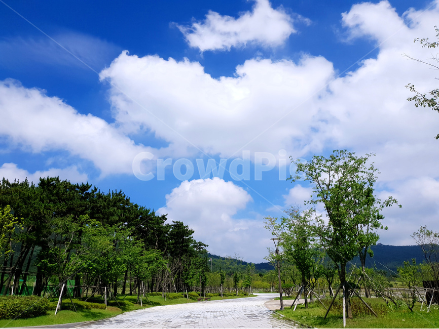 공원,하늘,구름,여름,풍경,자연,풍경,nature,landscape,road,도로