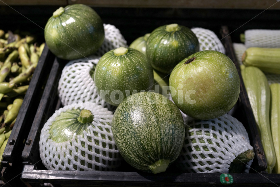 plant,식물,fruit,음식,food,애호박,호박,초록,야채,마트,마켓,슈퍼,채소,요리,신선한,식재료,pumkin,zucchini,foodmaterials,market,vegetable,soft