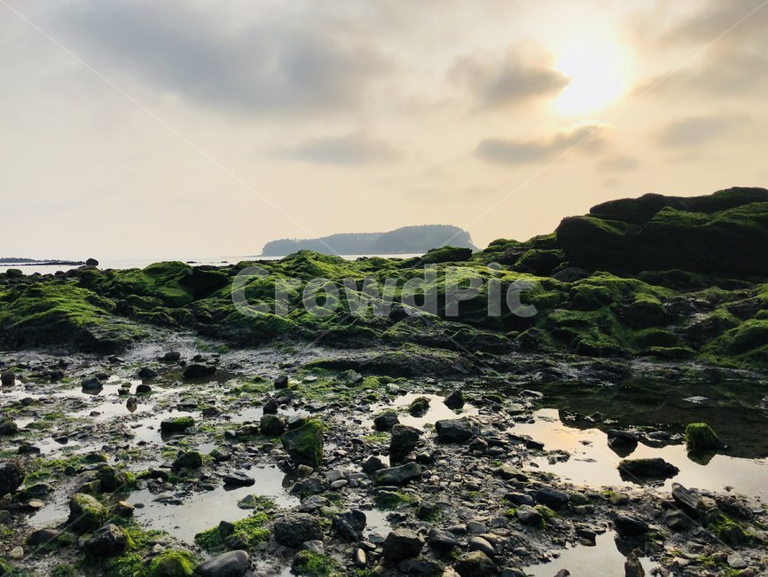 일몰,sunset,바다,감성,태양,선셋,자연,풍경,nature,landscape,한국자연풍경,한국자연경관,korea nature landscape,제주도,jeju,jeju island,plant,식물,algae,조류