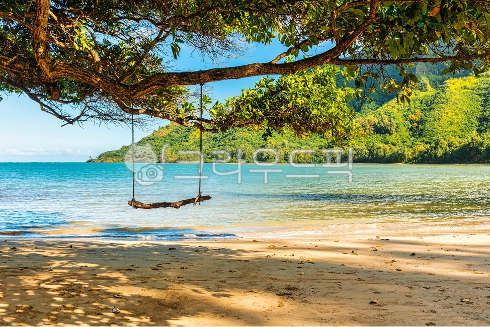 tide,sky,rest,nature,recreation,Hawaii,tree,oahu,branch,water,outdoor,sand,horizon,Beach,mountain,ocean,tropics,Swing,plant