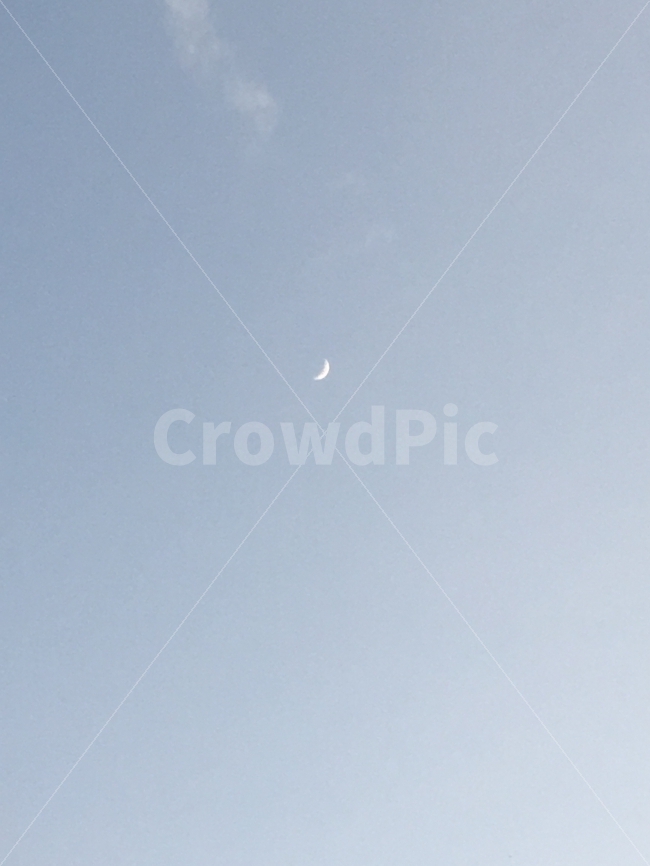 달,저녁,PM20시,밝음,구름,자연,풍경,nature,landscape,flying,나는,animal,동물,bird,새