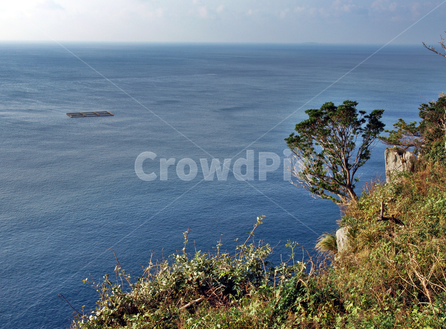 박수기정,서귀포시,올레9코스,올레,바다,제주,숲,자연,풍경,nature,landscape,outdoors,옥외,land,땅,ocean,대양,sea,water,물,shoreline,해안선