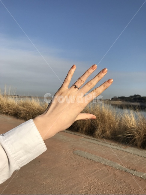 person,사람,손,프로포즈링,손가락