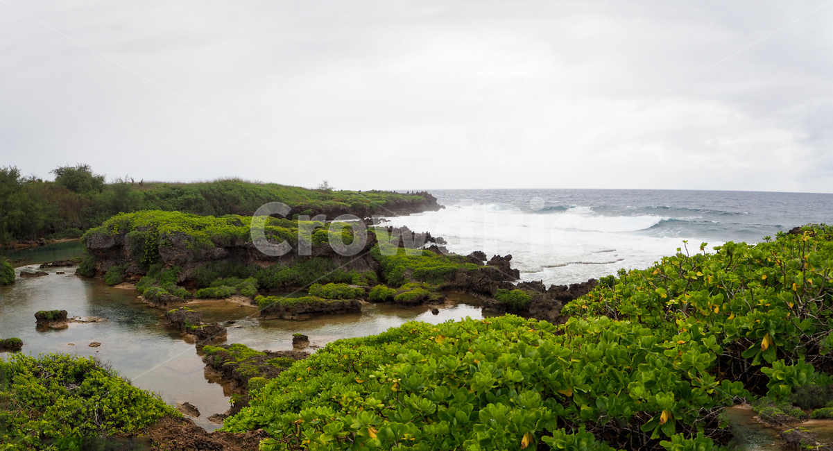 괌,풍경,자연,파도,바다,바닷가,guam,landscape,nature,wave,sea,해외,overseas,foreigncountry,자연,풍경,nature,landscape,해외,외국,세계,foreign,oversea,world,세계자연풍경,해외자연풍경,외국자연풍경,world nature landscape,land,땅,outdoors,옥외,water,물,plant,식물