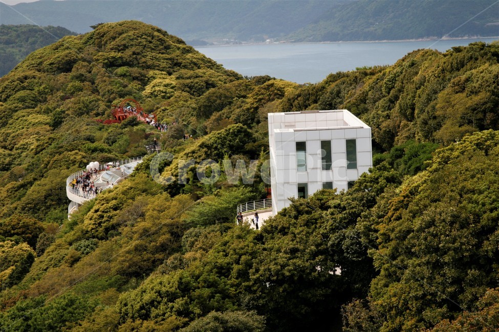 장사도,남해,섬,풍경,다도해,자연,풍경,nature,landscape,한국자연풍경,한국자연경관,korea nature landscape,slope,경사,outdoors,옥외