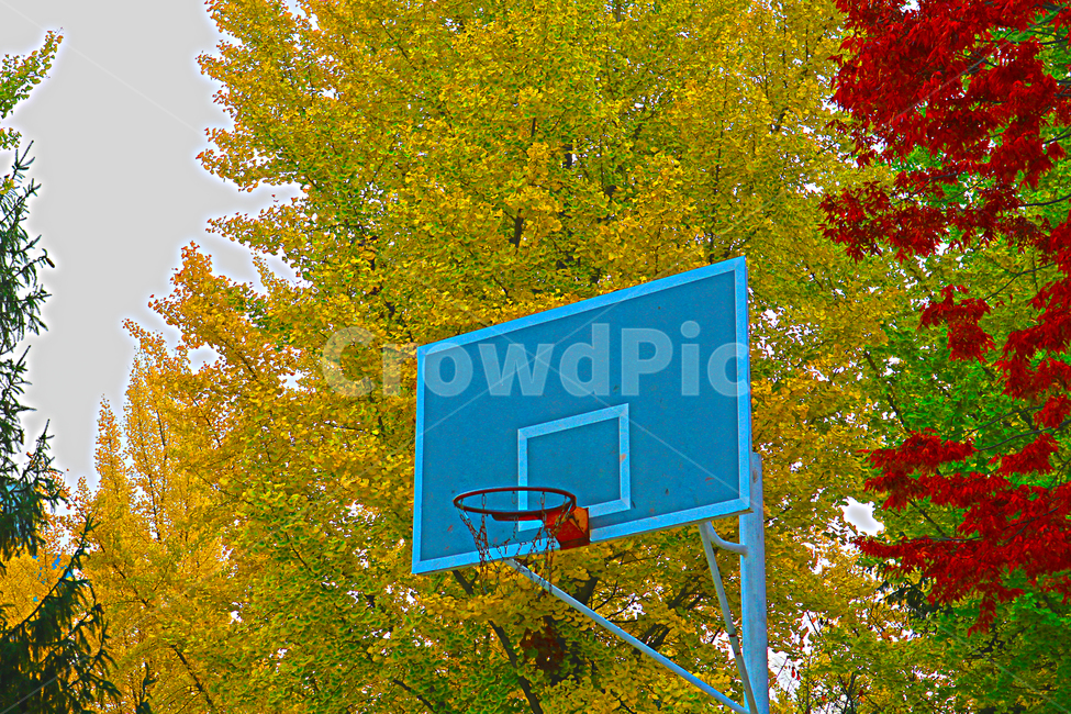 가을,단풍,autumn,농구골대,hdr,보정,색감,가을,계절,fall,autumn,season,스포츠,레저,운동,sports,leisure,exercise,hoop,테두리