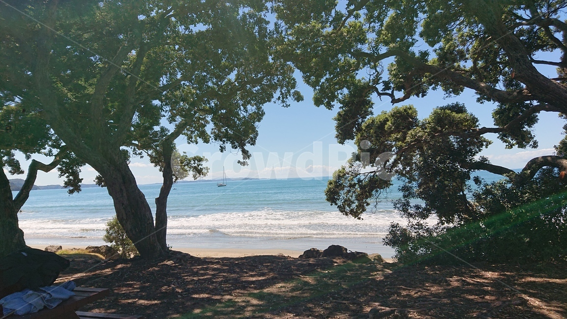 바다,treetrunk,나무,나무줄기,tree,휴식,그늘,자연,풍경,nature,landscape