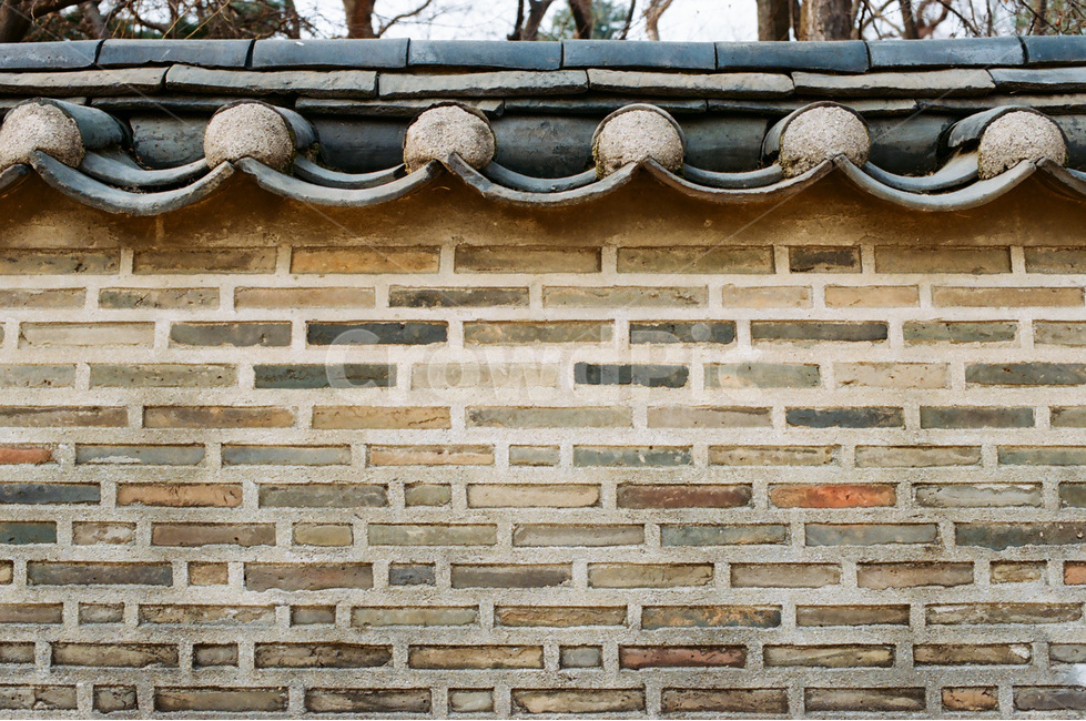 벽,wall,rain,고궁,color,한국전통,한국문화,korean traditional,korean culture,건축물,건물외관,exterior,building,structure,architecture,construction