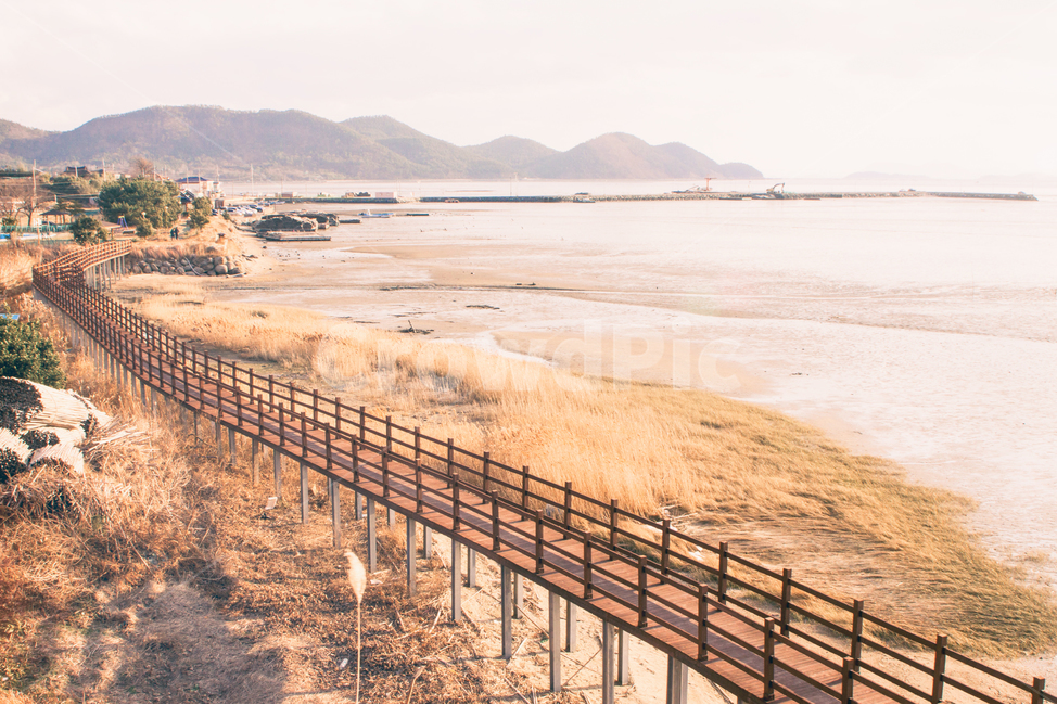 다리,바다,바닷가,해안,풍경,자연,해,태양,햇빛,갈대,갯벌,만,bridge,sea,coast,landscape,nature,sun,sunlight,reed,bay,가을,계절,fall,autumn,season,자연,풍경,nature,landscape,한국자연풍경,한국자연경관,korea nature landscape,해변,바다,beach,sea,감성,sensible,feeling,water,물,shoreline,해안선,outdoors,옥외