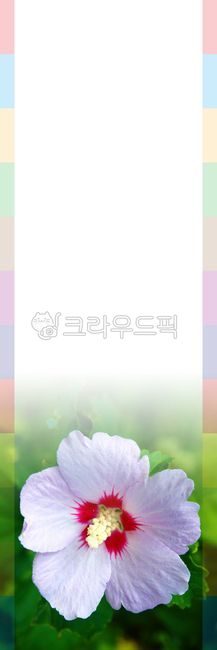 디자인,배너디자인,현수막디자인,배너,현수막,배너출력,현수막출력,세로현수막,실사출력,출력,배경,식물,꽃,꽃잎,꽃밭,풀,무궁화,국화