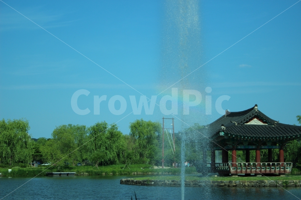 궁남지,연꽃,연잎,공원,자연,산책,여름,무지개,랜드마크,landmark,tourist attraction,한국전통,한국문화,korean traditional,korean culture
